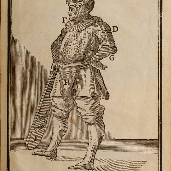 L'Oplomachia Pisana ovvero La Battaglia del Ponte di Pisa...