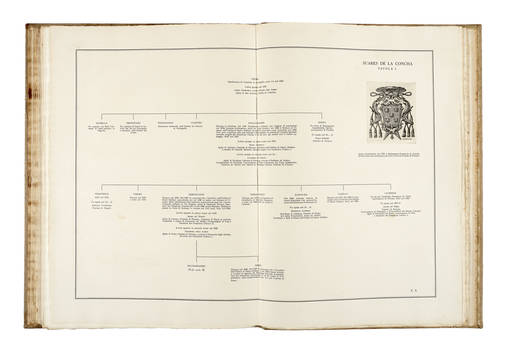 Famiglie patrizie fiorentine. Appunti genealogici in XXXIV tavole di testo e III di incisioni...Vedute e stemmi incisi da M.A. Falorsi.