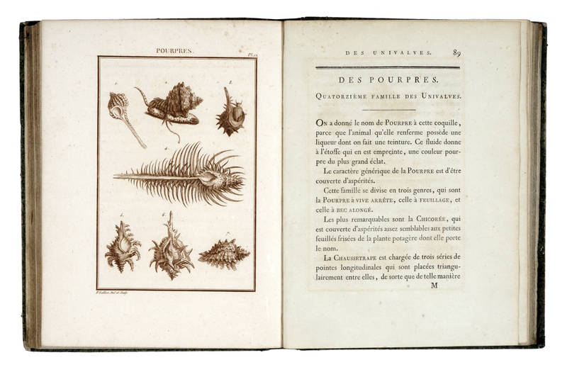 Histoire abrégèe des coquillages de Mer, de Leurs Moeurs et de Leurs Amours.