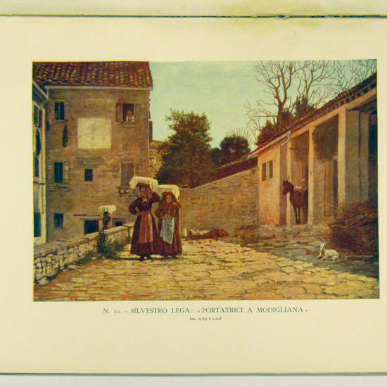 La Raccolta Del Pino.