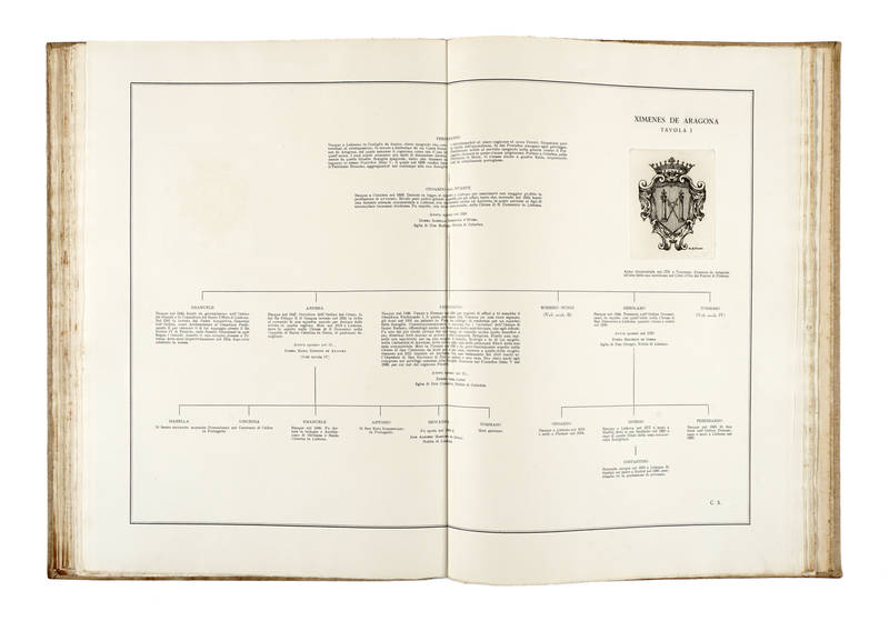 Famiglie patrizie fiorentine. Appunti genealogici in XXXIV tavole di testo e III di incisioni...Vedute e stemmi incisi da M.A. Falorsi.