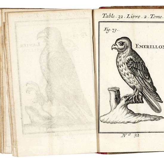 Amusemens de la Chasse et de la Peche, ou l'on enseigne la manière de prendre toute sorte d'Oiseaux & d'Animaux à quatre piés ... Amusemens de la Chasse et de la Peche, ou l'on enseigne la manière de prendre toute sorte d'Oiseaux & d'Animaux à quatre piés ...