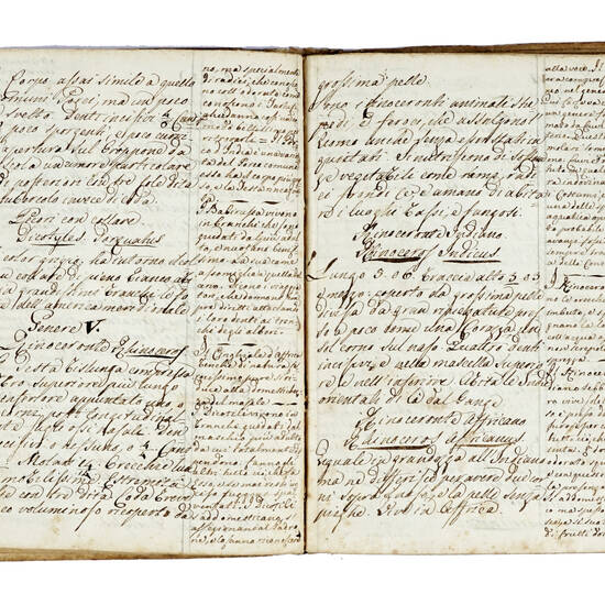 Corso di storia naturale dell'egregio professore Paolo Savi. Il regno animale. 1823. Anno Accad. 111.