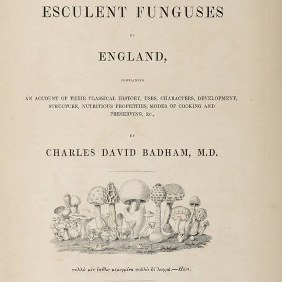 A Treatise on the Esculent Funguses of England...