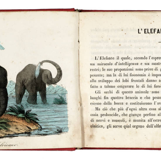 SERRAGLIO (Il) delle belve. Raffigurato e descritto a diletto ed istruzione della gioventù. SERRAGLIO (Il) delle belve. Raffigurato e descritto a diletto ed istruzione della gioventù.