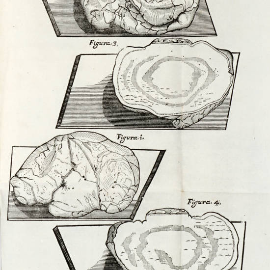 Considerazioni, ed esperienze intorno al creduto Cervello di Bue Impietrito, vivente ancor l'animale, presentato dal Sig. Verney all'Accademia Real di Parigi...