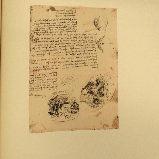 Quaderni d'Anatomia, a cura di Paolo Giordano.