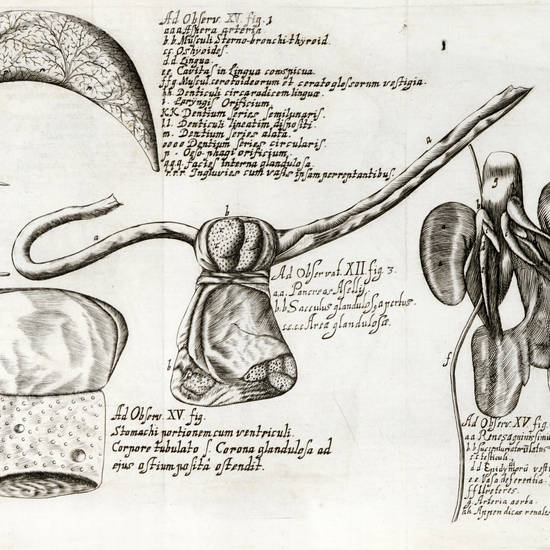 Apiarium observationibus medicis centum ac physicis experimentis plurimis refertum...Cum Responsione ad invectivam Joh. Baptist. de Lampsweerde Cap. XXIV. Hist. Nat. Molar. Uteri...
