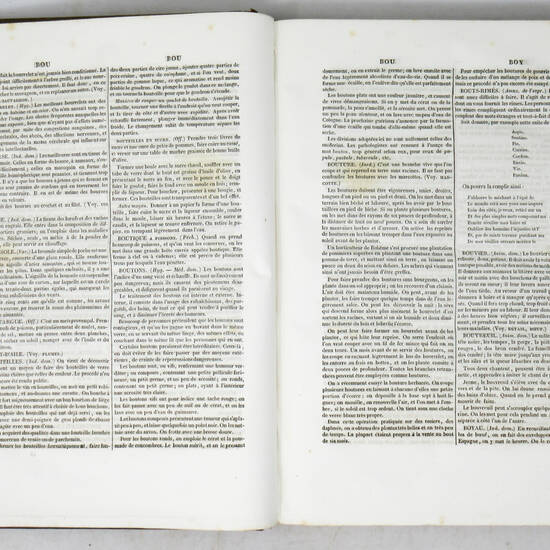 Dictionnaire des ménages, répertoire de toutes les connaissances usuelles, encyclopédie des viles et des campagnes.