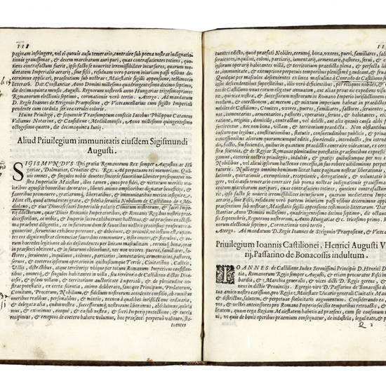 De origine rebus ac privilegiis gentis Castilionae. Commentaria. De origine rebus ac privilegiis gentis Castilionae. Commentaria.