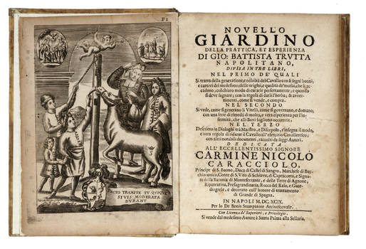 Novello Giardino della prattica, et esperienza..., divisa in tre libri...