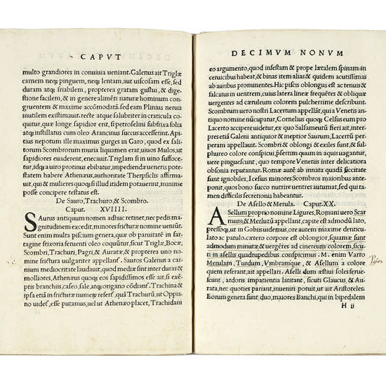 Pauli Iovii/ Novocomensis /Medici/ De Romanis/ Piscibus Libel/ lus Ad Ludovi/ cum Borbonium/ Cardinalem/ Amplissimum. Pauli Iovii/ Novocomensis /Medici/ De Romanis/ Piscibus Libel/ lus Ad Ludovi/ cum Borbonium/ Cardinalem/ Amplissimum.