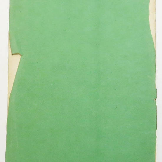 Saggio del Dante in Ravenna lavoro diviso in quattro libri che sta tuttora compiendosi... Saggio del Dante in Ravenna lavoro diviso in quattro libri che sta tuttora compiendosi...