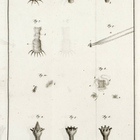 Mémoires, pour servir à l'Histoire d'un genre de Polypes d'eau douce, à bras en forme de cornes.
