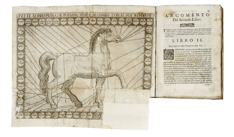La perfettione del Cavallo. Libri Tre...