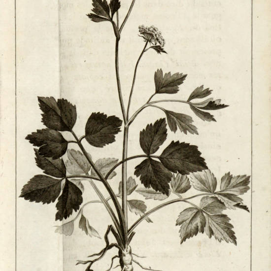 Voyage en Anglaterre, en Ecosse et aux Iles Hébrides ayant pour objet les sciences, les arts, l'histoire naturelle, et les moeurs... Voyage en Anglaterre, en Ecosse et aux Iles Hébrides ayant pour objet les sciences, les arts, l'histoire naturelle, et les moeurs...