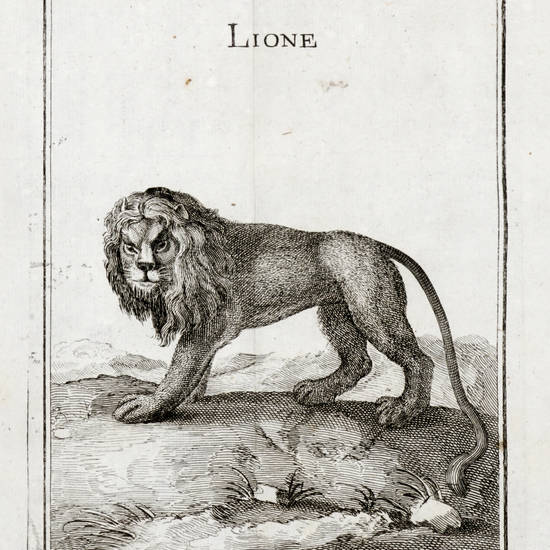 Memorie appartenenti alla Storia Naturale della Real Accademia delle Scienze di Parigi recate in Italiana favella. Tomo I - XI.
