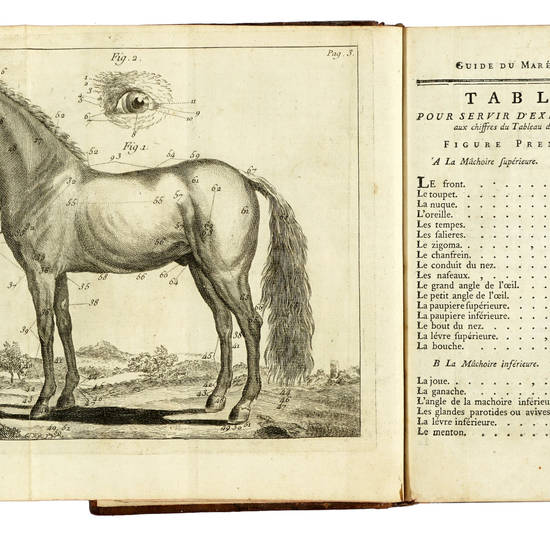 Guide du Maréchal. Ouvrage contenant une connoissance exacte du Cheval, & la maniere de distinguer & de guérir ses Maladies. Ensemble un Traité de la Ferrure.