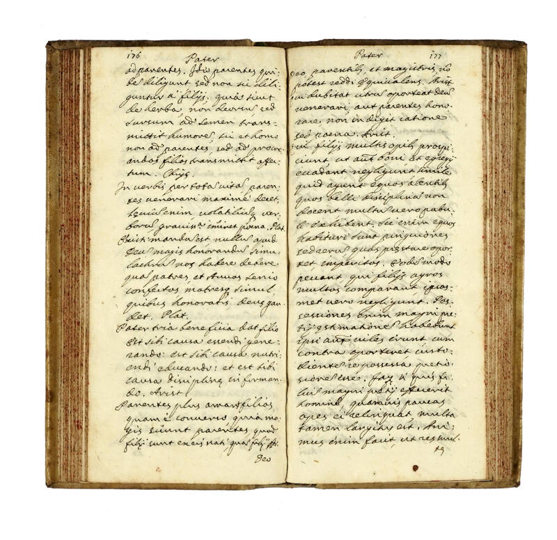 Sentenze sacre e profane (titolo al dorso). Liberculus nonnullas tum ex Sacris tum ex profanis...