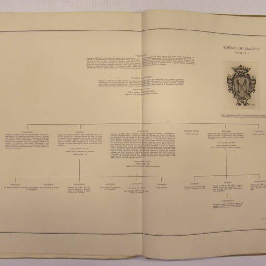 Famiglie patrizie fiorentine. Appunti genealogici in XXXIV tavole di testo e III di incisioni...Vedute e stemmi incisi da M.A. Falorsi.