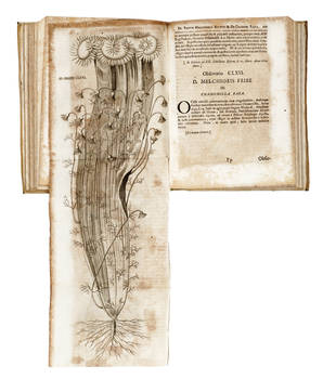 MISCELLANEA Curiosa medico-phisica academiae naturae curiosorum, sive Ephemeridum medico-physicarum Germanicarum Annus Tertius, anni scilicet MDCLXXII. continens Celeberrimorum Virorum tum Medicorum tum aliorum Eruditorum in Germania & extra Eam Observati