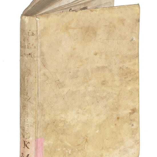 Vita di Elisabetta Bonsi Capponi nobile matrona fiorentina.
